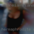 Hermaphrodite relationships