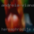Hermaphrodite relationships